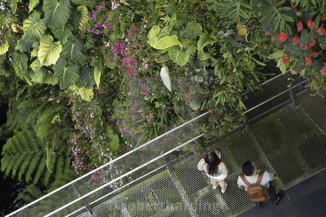 Cloud Gardens Download